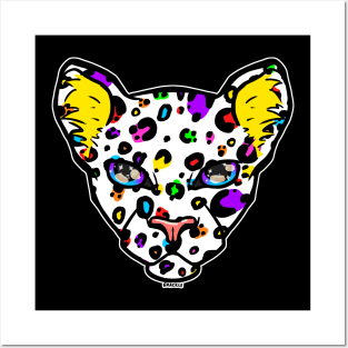 Rainbow Leopard Posters and Art